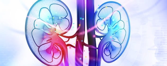 stem cells for kidney disease