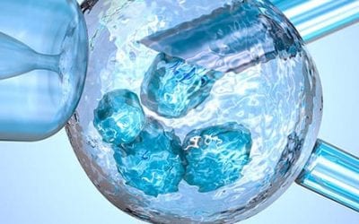 Reviewing Progress in Research Aimed at Understanding How Stem Cells Could Help Those with Diabetic Kidney Disease