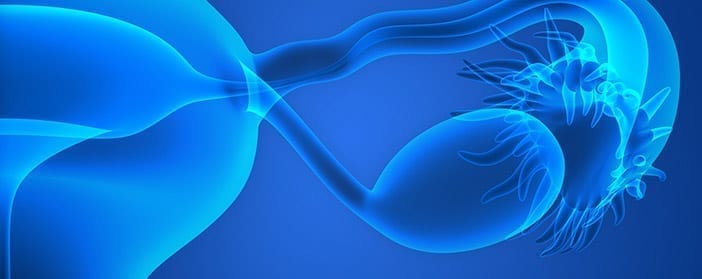 Umbilical Cord Stem Cells Ability to Restore Damaged Ovaries