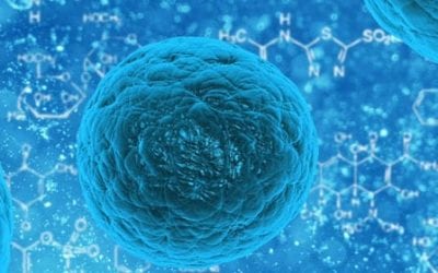 Researchers Identify How Mesenchymal Stem Cells Achieve Their Immunosuppressive Effects