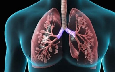 Study Reveals Mechanism by Which Stem Cells Improve Symptoms in Chronic Obstructive Pulmonary Disease (COPD)