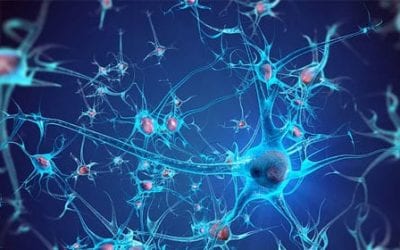 Stem Cells that Secrete Neurotrophic Factors Shown to be Safe in ALS Patients