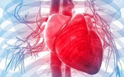 Mesenchymal Stem Cells Improve Function and Quality of Life in Heart Failure Patients