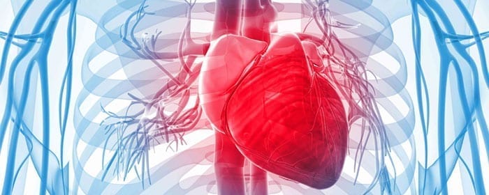 Mesenchymal Stem Cells Improve Function and Quality of Life in Heart Failure Patients