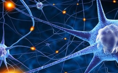 Reviewing Stem Cell Therapies for Neurodegenerative Diseases