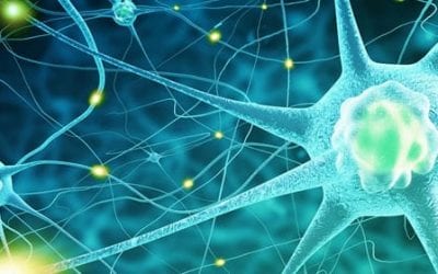 Stem Cells Show Protective Potential for Amyotrophic Lateral Sclerosis (ALS)