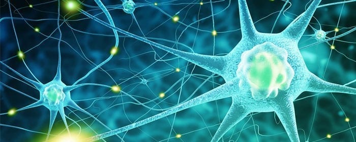 Stem Cells Show Protective Potential for Amyotrophic Lateral Sclerosis (ALS)