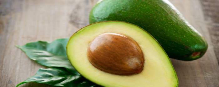 Could Avocado Help to Manage or Prevent Neurodegenerative Diseases?