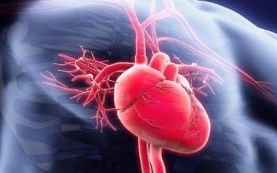 Stem Cells Injected into the Heart Can Improve Blood Flow and Heart Function after Heart Attack