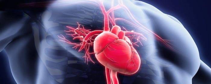 Stem Cells Injected into the Heart Can Improve Blood Flow and Heart Function after Heart Attack