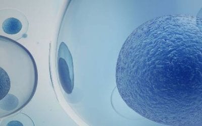 What are Multipotent Stem Cells?