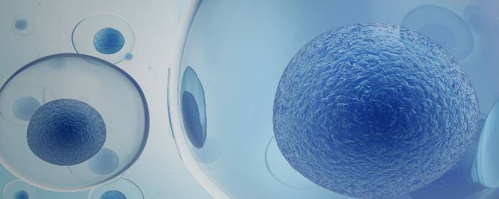 What are Multipotent Stem Cells?