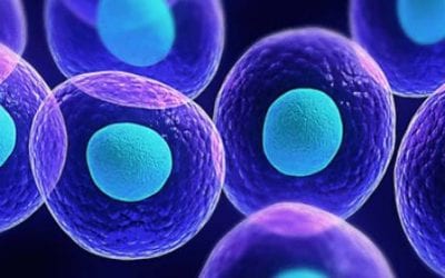 Stem Cells Can Act as Carriers for Therapies