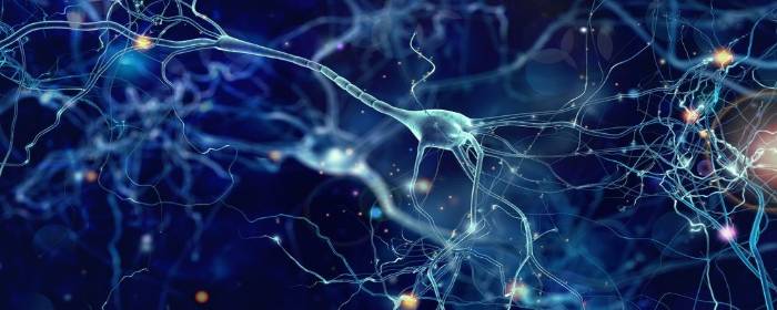 Parkinsons Disease May Go Beyond Just Dopamine
