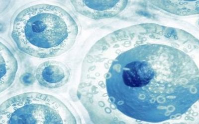 Fighting Against Tissue Injury: Stem Cell Exosomes