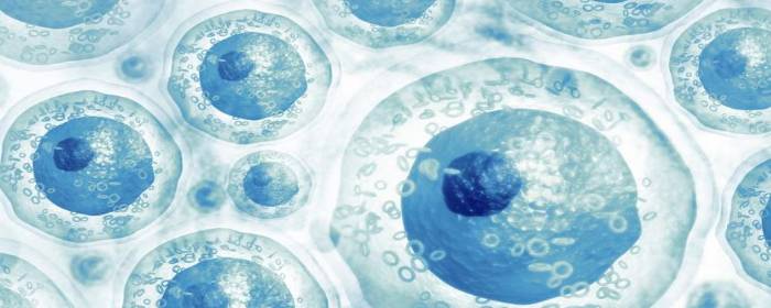 Fighting Against Tissue Injury Stem Cell Exosomes (2)