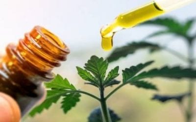 Hemp Extract Reduces Muscle Spasticity in Patients with Multiple Sclerosis