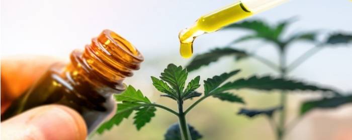 Hemp Extract Reduces Muscle Spasticity in Patients with Multiple Sclerosis