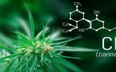 Cannabinoids (CBD) Help Patients with Hard to Treat Muscle Spasticity From Multiple Sclerosis
