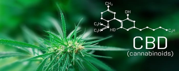 Cannabinoids (CBD) Help Patients with Hard to Treat Muscle Spasticity From Multiple Sclerosis