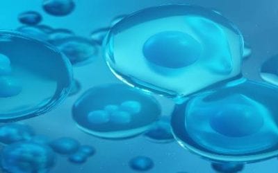 Modulating the Immune System with Mesenchymal Stem Cells: Looking Beyond Bone Marrow