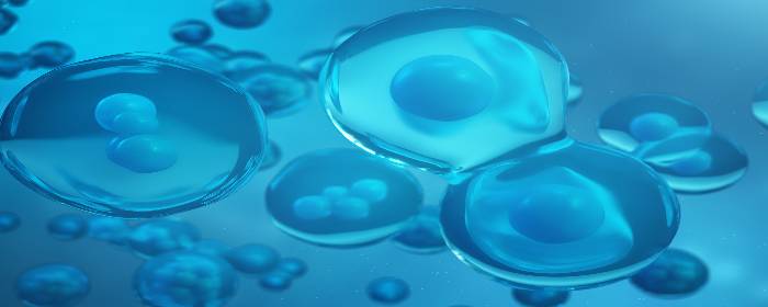 Modulating the Immune System with Mesenchymal Stem Cells: Looking Beyond Bone Marrow