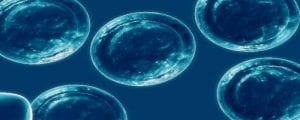 Umbilical Cord Mesenchymal Stem Cells Show Promise in Treatment of Multiple Sclerosis