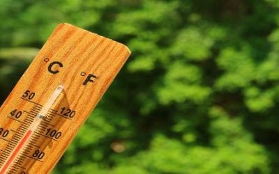 Heat Safety Awareness: How Warm Weather Affects Certain Chronic Conditions