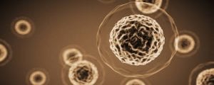 Mesenchymal Stem Cell Transplantation for MS and ALS