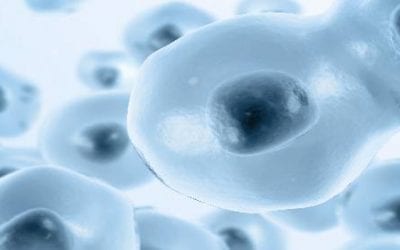 Stem Cells Restore Erectile Function after Prostate Removal