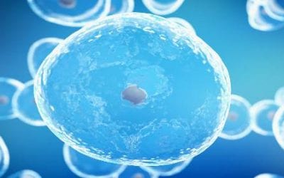 Treating Erectile Dysfunction with Stem Cells after Prostate Removal