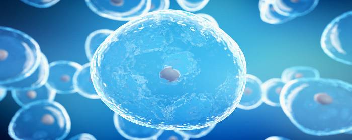 Treating Erectile Dysfunction with Stem Cells after Prostate Removal