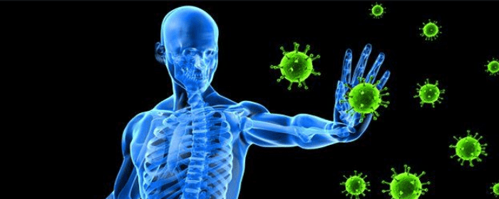 Mesenchymal Stem Cells Can Modulate the Immune System