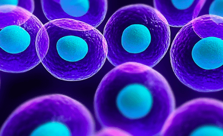 Stem Cell Therapy For Erectile Dysfunction In Tampa
