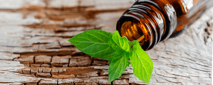 The Health-Boosting Properties of Peppermint Oil