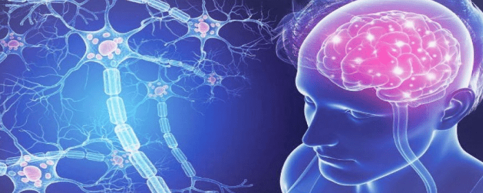 What Is Stem Cell Therapy for Multiple Sclerosis