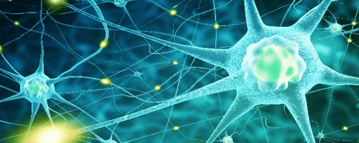 Stem Cell Treatment for ALS Headed to Phase 3 Trial