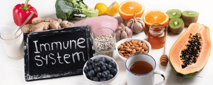 A Guide to Eating for a Healthy Immune System