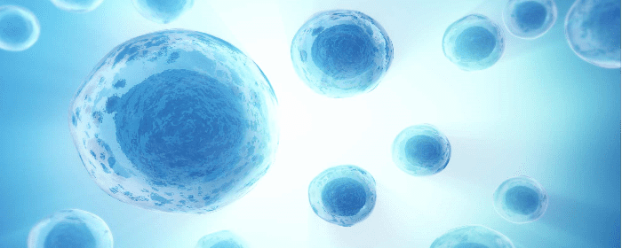 Mesenchymal Stem Cell Treatment for Parkinson's Disease