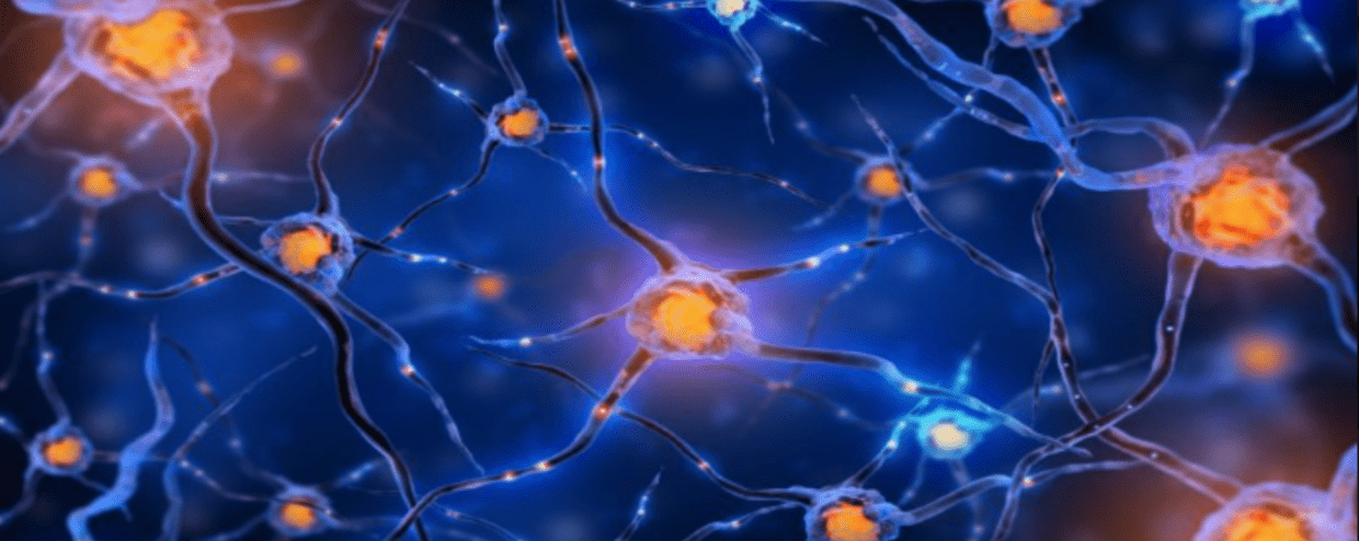 Can Stem Cells Treat Neural Damage Caused by Multiple Sclerosis?