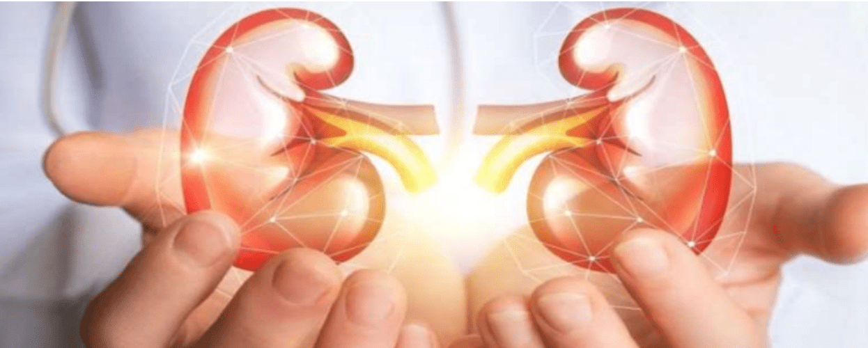 Could Stem Cell Therapy Help Patients with Kidney Disease?