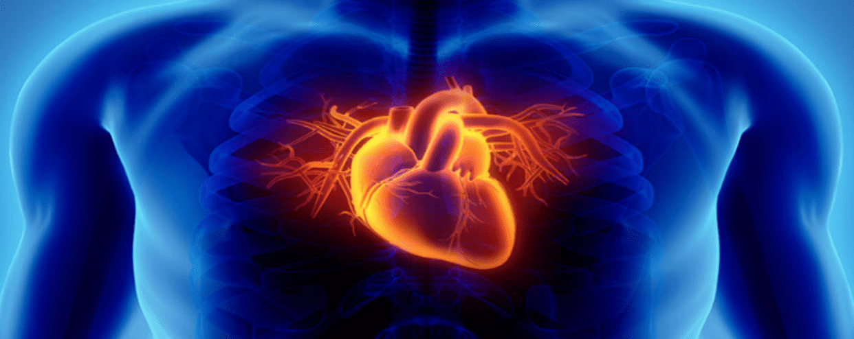 How Does Stem Cell Therapy Help Coronary Artery Disease?