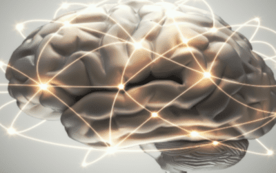 Can Stem Cells Regrow Brain Tissue?