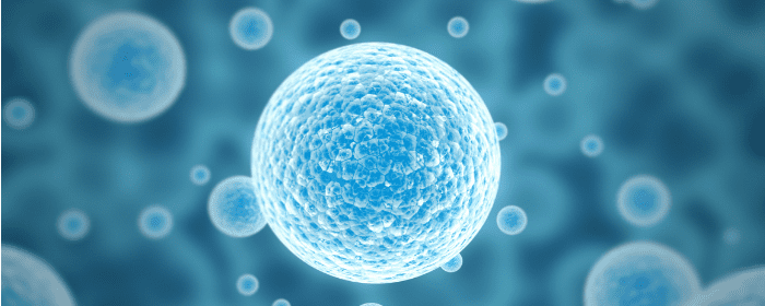 Treating Autoimmune Disease Through Adult Stem Cell Therapy
