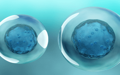 Exploring The Role of Stem Cells and Regenerative Medicine In Treating Lung Disease