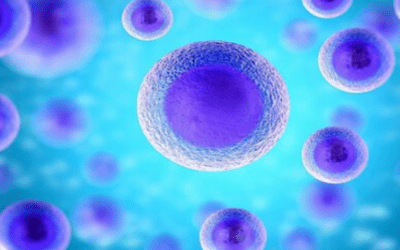 Stem Cell Transplant Benefits for Patients with MS