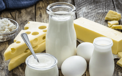 Dairy: Health Food or Health Risk