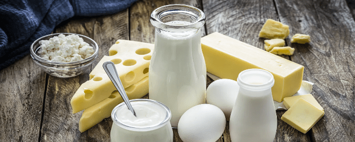 Dairy: Health Food or Health Risk