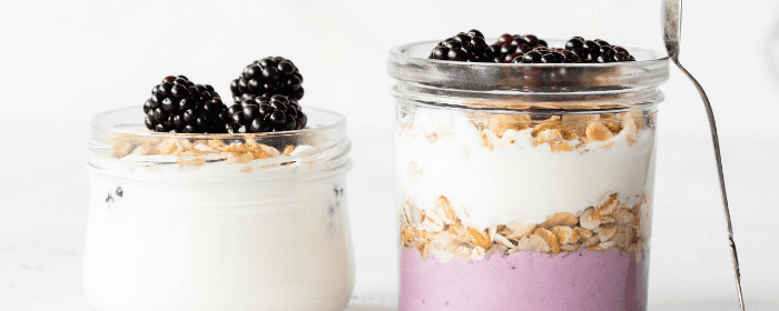 What is the Healthiest Yogurt