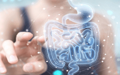 Gut Microbiome’s Metabolism Altered by Bioaccumulation of Medications